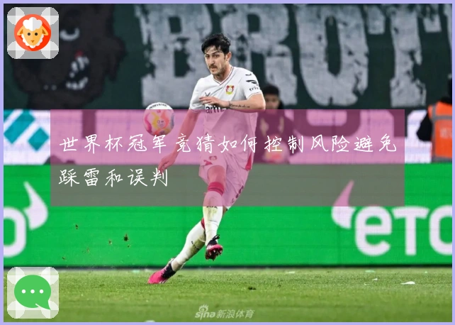 世界杯冠军竞猜如何控制风险避免踩雷和误判