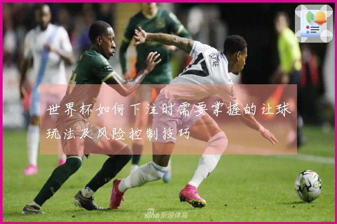 世界杯如何下注时需要掌握的让球玩法及风险控制技巧