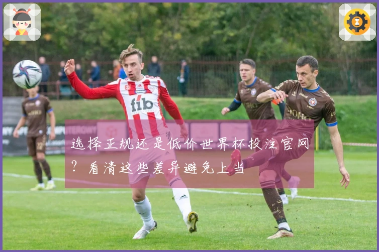 选择正规还是低价世界杯投注官网？看清这些差异避免上当